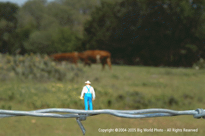 Texas Ranching