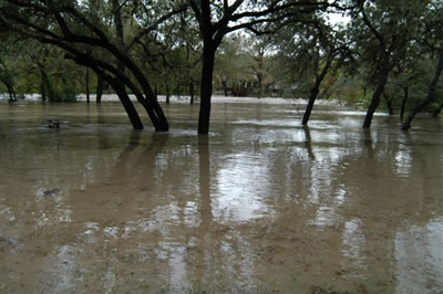 Texas Flash Floods - My Birdhouse
