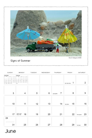 The 2007 Calendar